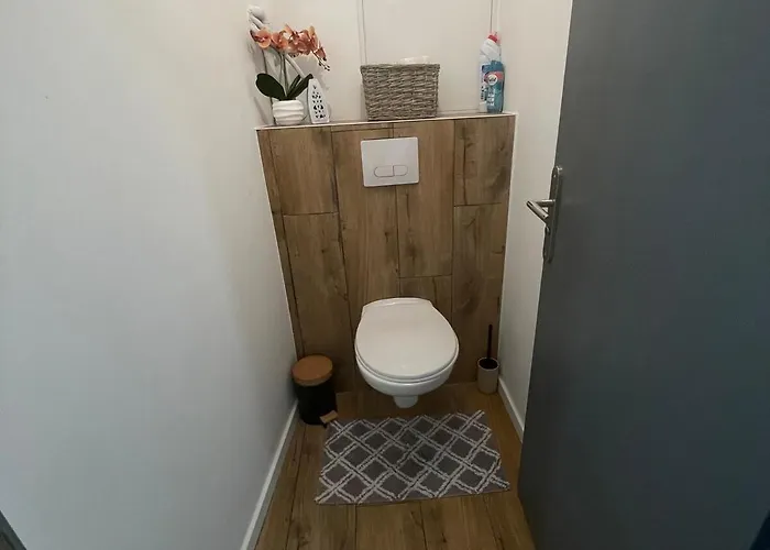 Duplex Cosy En Face De La Moselle