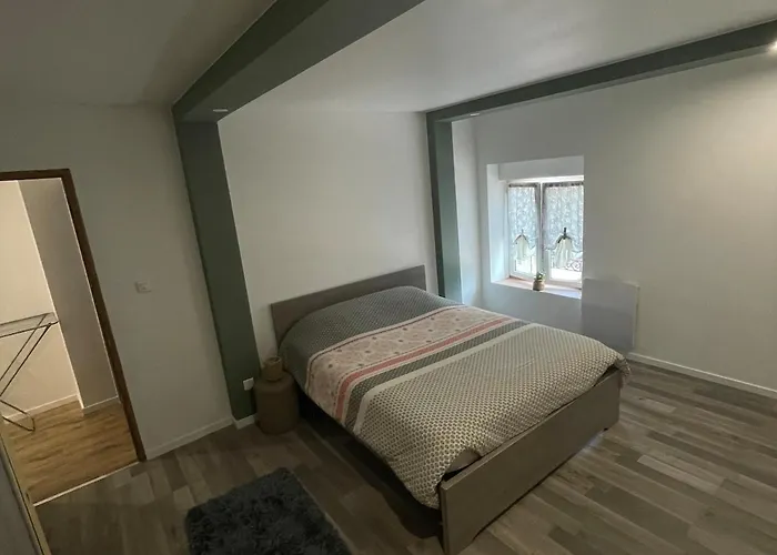 Duplex Cosy En Face De La Moselle